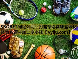 SBOBET利记公司：打篮球必备哪些器材体育彩票三加二多少钱